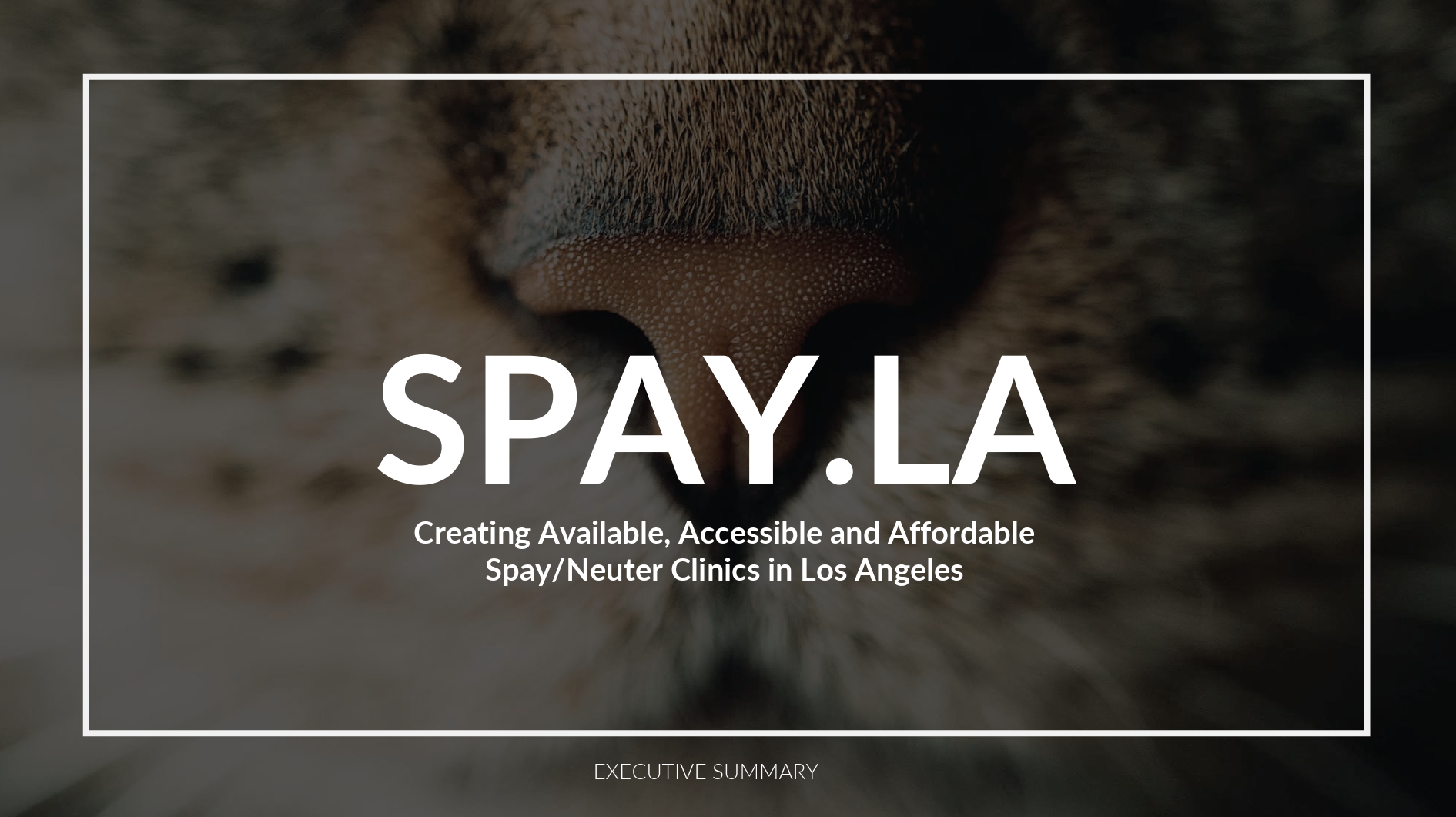 spay_la